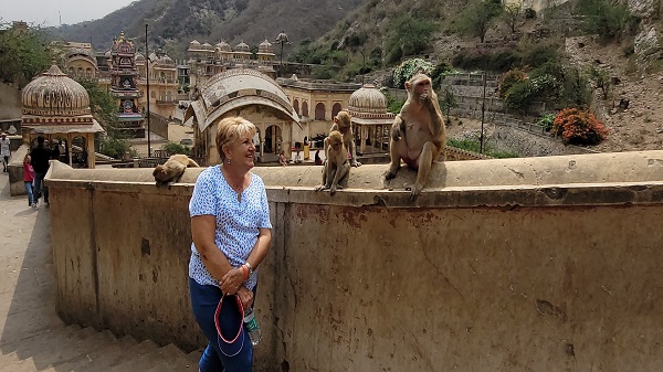 Galta Ji Monkey Temple Jaipur