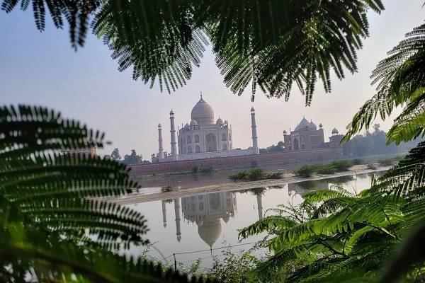 Taj Mahal from Mehtab Garden Agra