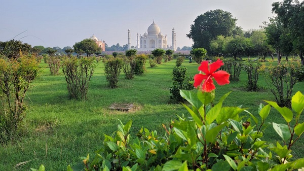 Taj Mahal View from Mehtab Garden